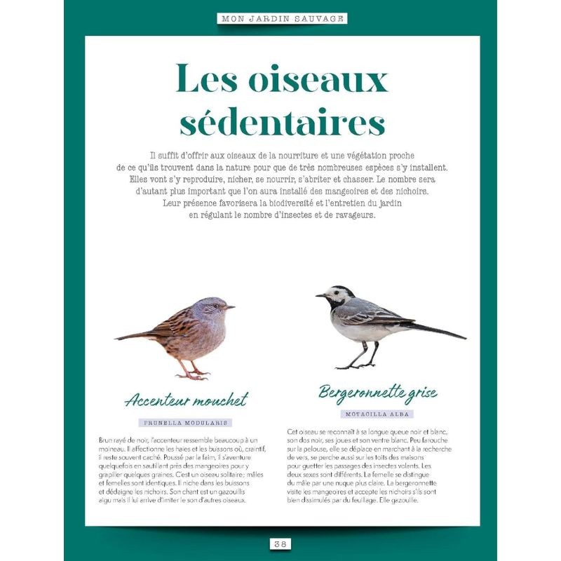 Mon jardin sauvage - Favoriser la diversité animale et végétale