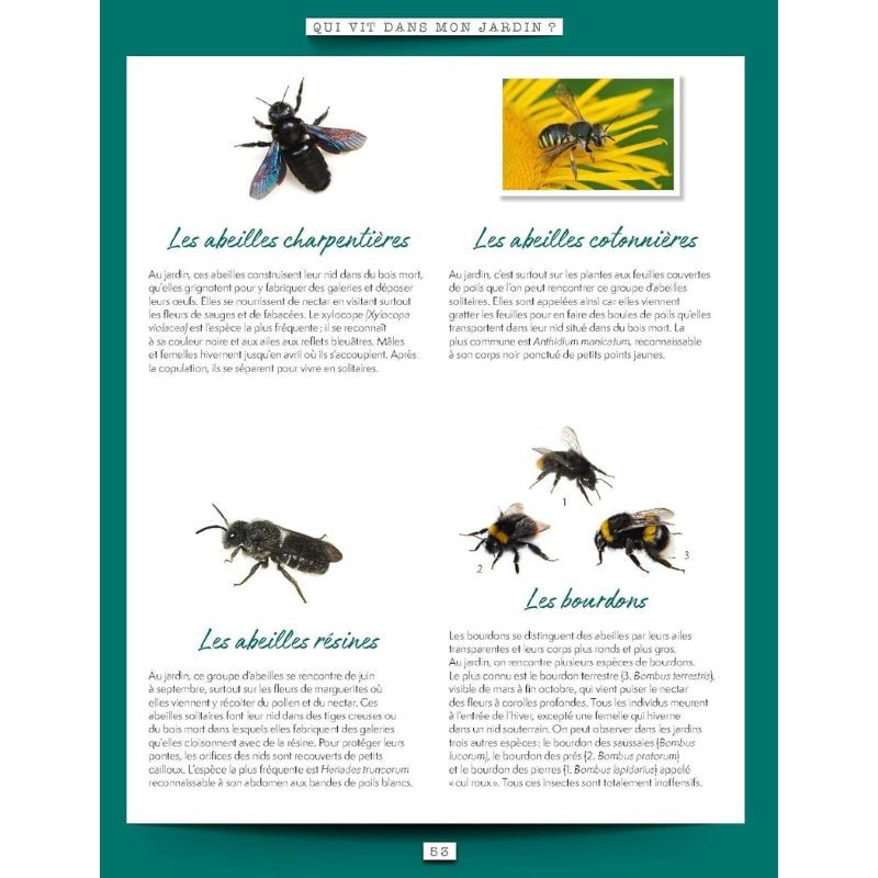 Mon jardin sauvage - Favoriser la diversité animale et végétale