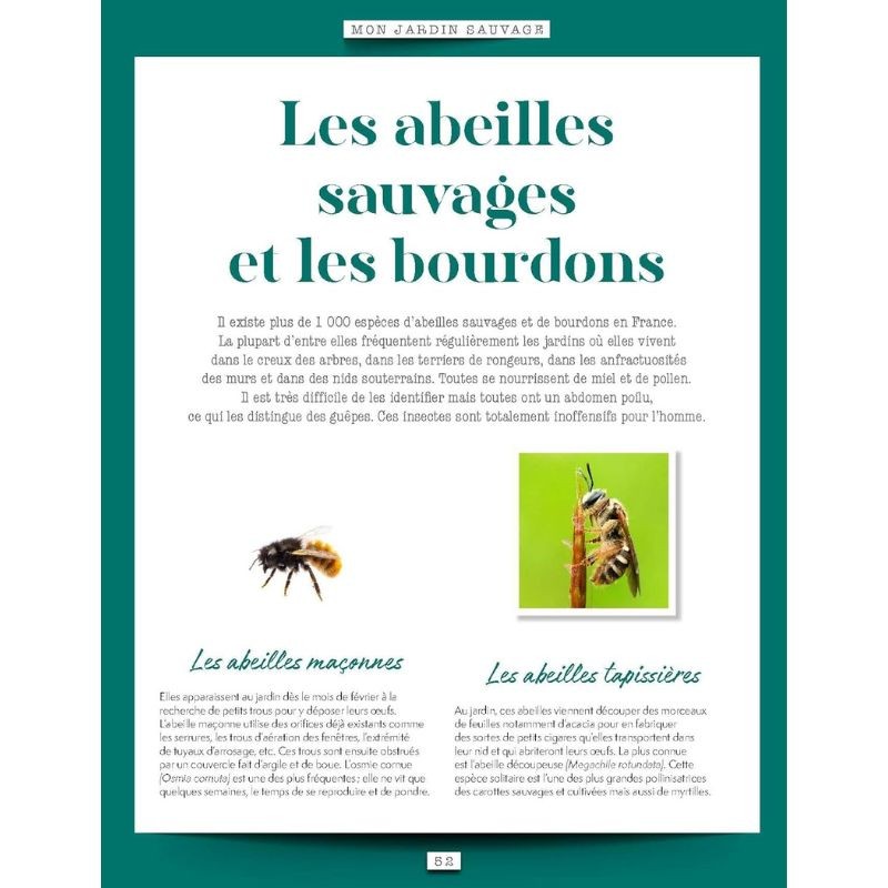 Mon jardin sauvage - Favoriser la diversité animale et végétale