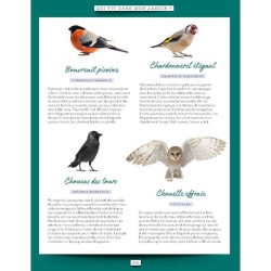 Mon jardin sauvage - Favoriser la diversité animale et végétale