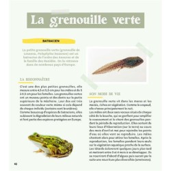 Créer une mare dans mon jardin Créer une mare dans mon jardin