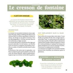 Créer une mare dans mon jardin Créer une mare dans mon jardin