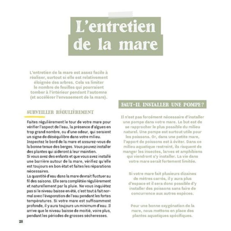 Créer une mare dans mon jardin Créer une mare dans mon jardin