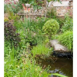 Créer une mare dans mon jardin Créer une mare dans mon jardin