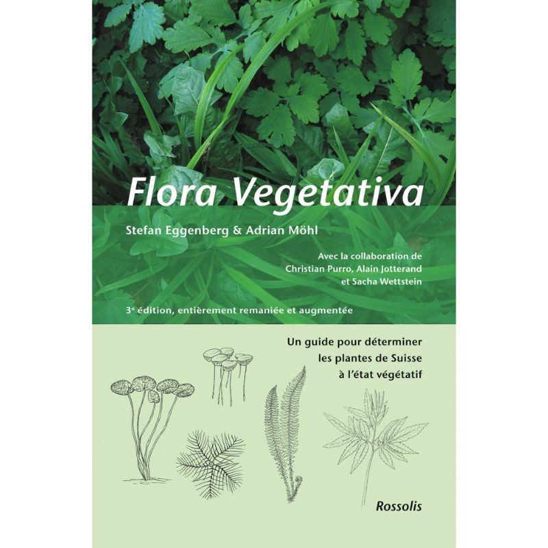 Flora vegetativa