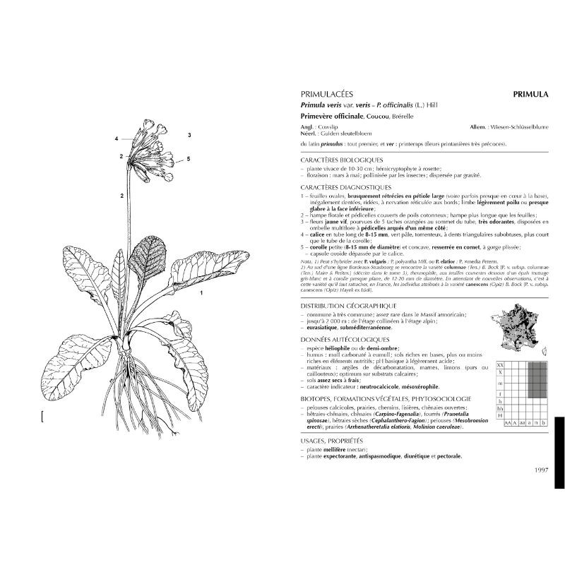 Flore forestière française Tome 1 - Guide écologique illustré - Plaines et collines Flore forestière française Tome 1 - Guide écologique illustré - Plaines et collines