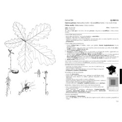 Flore forestière française Tome 1 - Guide écologique illustré - Plaines et collines Flore forestière française Tome 1 - Guide écologique illustré - Plaines et collines
