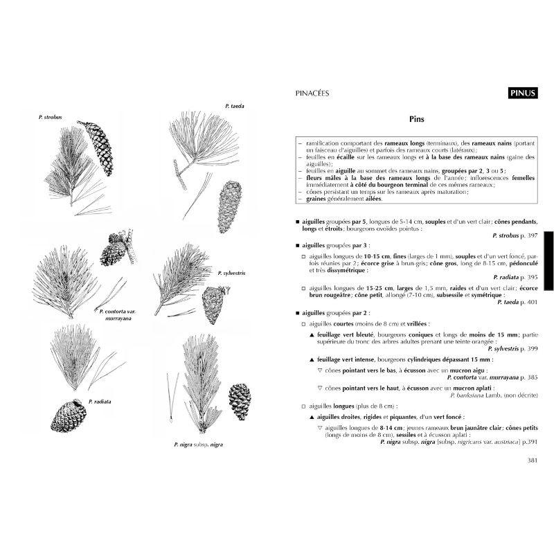 Flore forestière française Tome 1 - Guide écologique illustré - Plaines et collines Flore forestière française Tome 1 - Guide écologique illustré - Plaines et collines