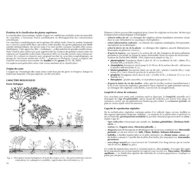 Flore forestière française Tome 1 - Guide écologique illustré - Plaines et collines Flore forestière française Tome 1 - Guide écologique illustré - Plaines et collines