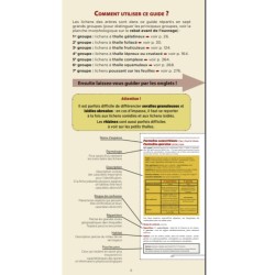 Guide des lichens de France – Lichens des arbres