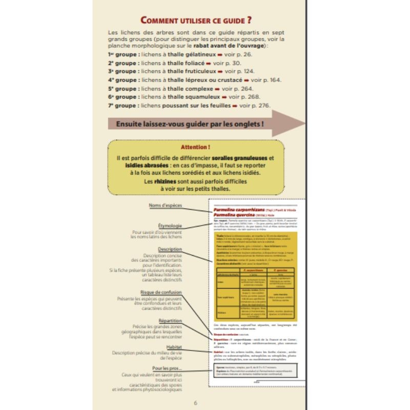 Guide des lichens de France – Lichens des arbres