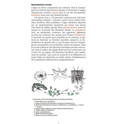 Guide des lichens de France – Lichens des arbres