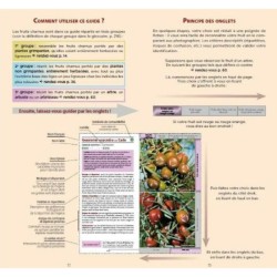 Guide des fruits sauvages - Fruits charnus Guide des fruits sauvages - Fruits charnus
