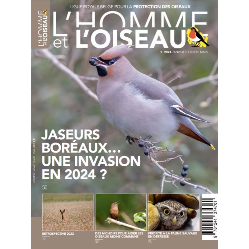Revue L'Homme et l'Oiseau -  Jaseurs boréaux une invasion en 2024 ?
