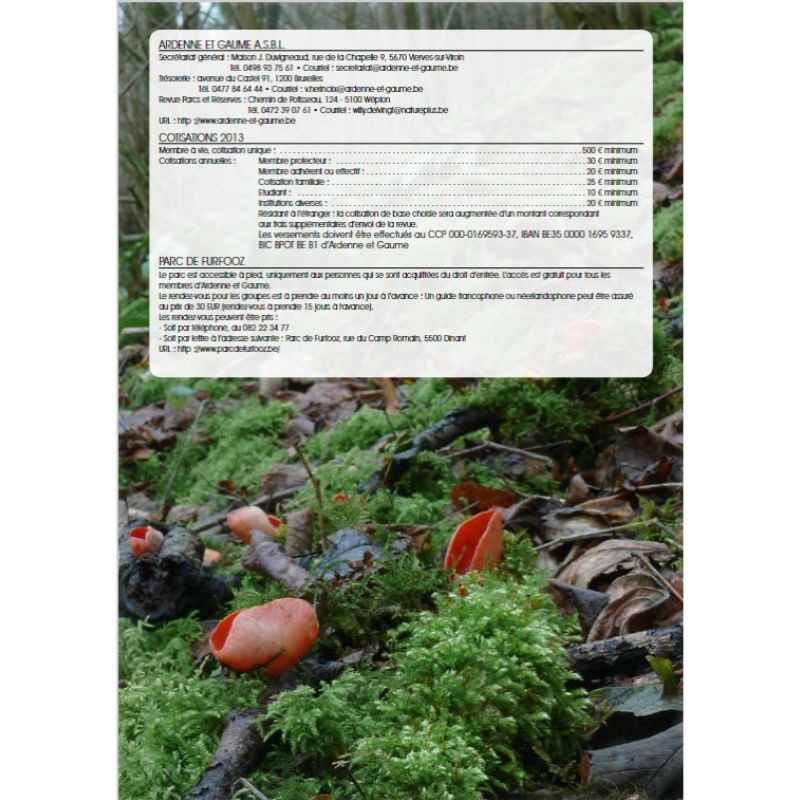 Les champignons en forêt wallonne - Parcs & Réserves