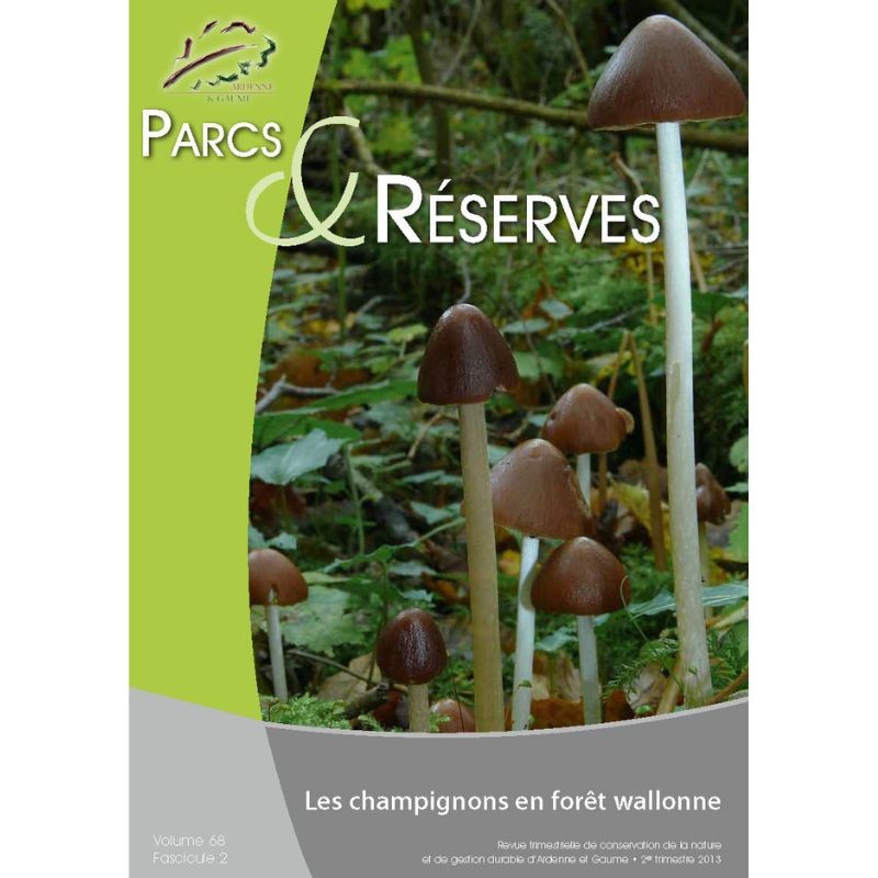 Les champignons en forêt wallonne - Parcs & Réserves