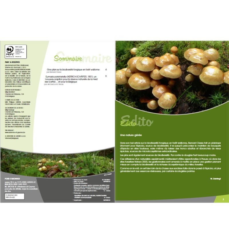 Les champignons en forêt wallonne - Parcs & Réserves