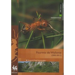 Fourmis de Wallonie (2003-2011)