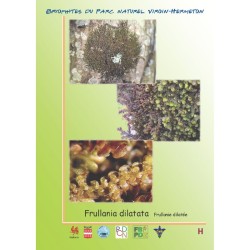 50 bryophytes - 60 lichens - 32 ptéridophytes du parc naturel Viroin-Hermeton