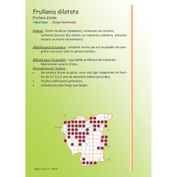 50 bryophytes - 60 lichens - 32 ptéridophytes du parc naturel Viroin-Hermeton