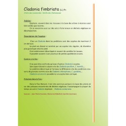 50 bryophytes - 60 lichens - 32 ptéridophytes du parc naturel Viroin-Hermeton