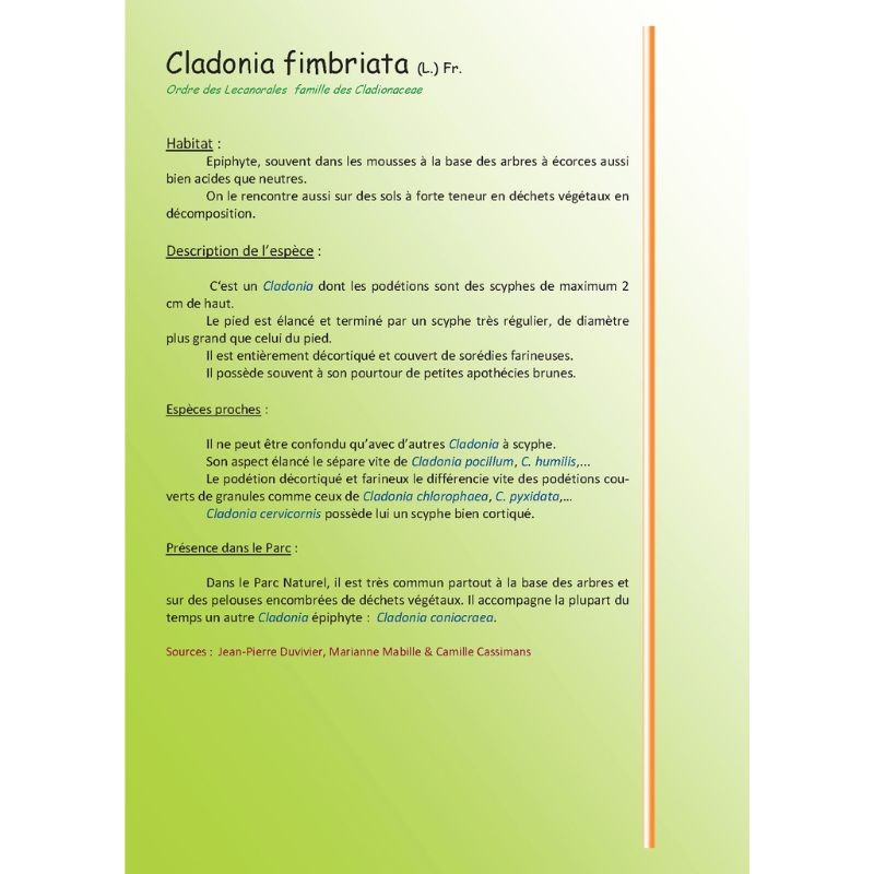50 bryophytes - 60 lichens - 32 ptéridophytes du parc naturel Viroin-Hermeton