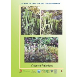 50 bryophytes - 60 lichens - 32 ptéridophytes du parc naturel Viroin-Hermeton