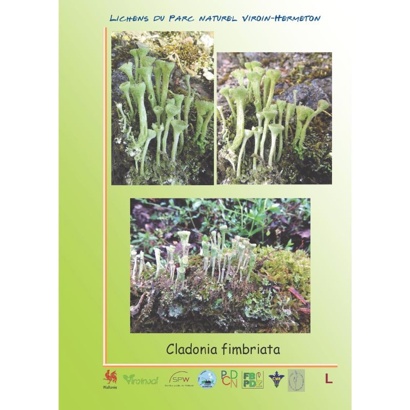 50 bryophytes - 60 lichens - 32 ptéridophytes du parc naturel Viroin-Hermeton
