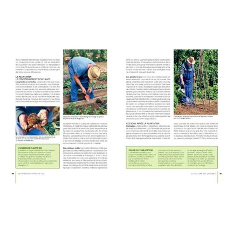 Le Potager de père en fils - Du savoir-faire des anciens aux récoltes de demain