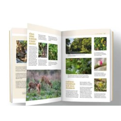 Semois Nature – Une rivière pas comme les autres - Tome 2