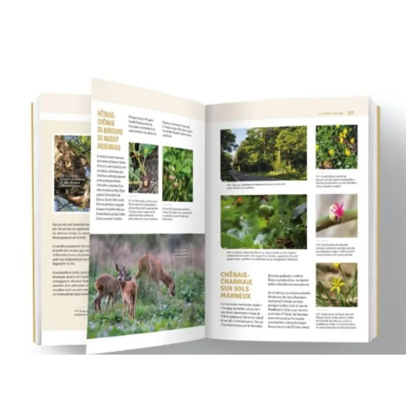 Semois Nature – Une rivière pas comme les autres - Tome 2