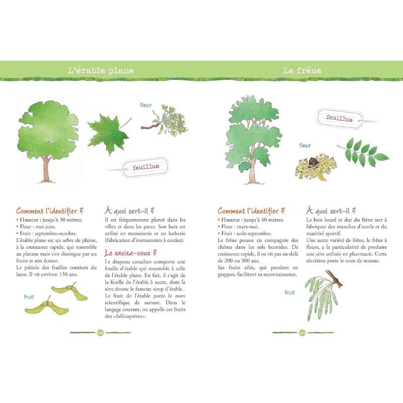 Les trésors de la nature - Le guide de la faune et de la flore de nos régions
