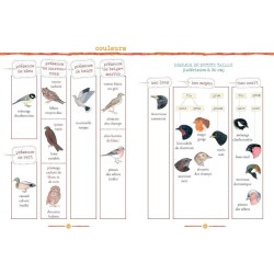 Les trésors de la nature - Le guide de la faune et de la flore de nos régions