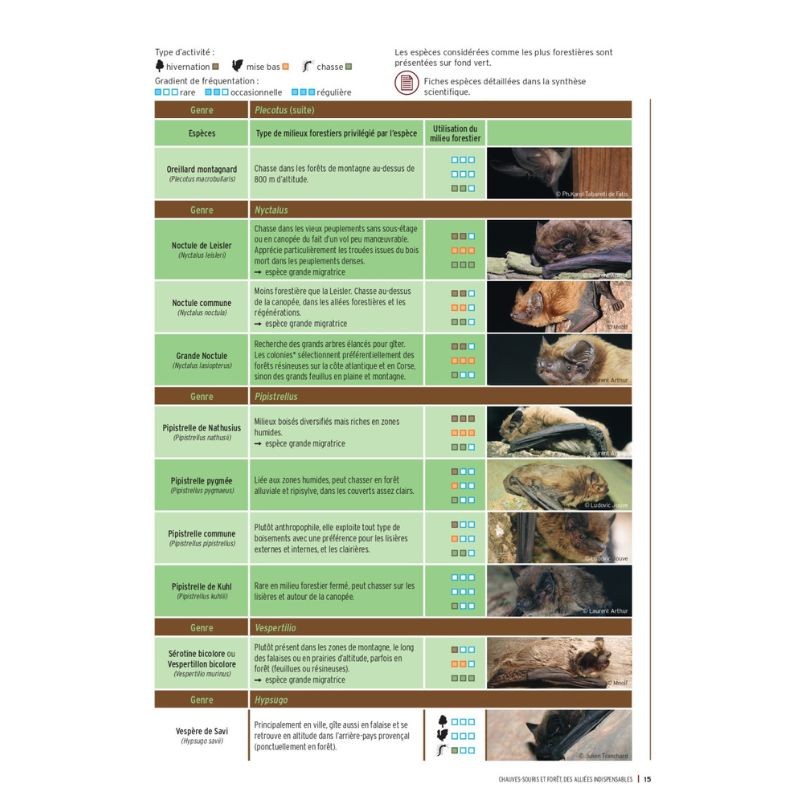 Chauves-souris et forêt, des alliées indispensables Chauves-souris et forêt, des alliées indispensables