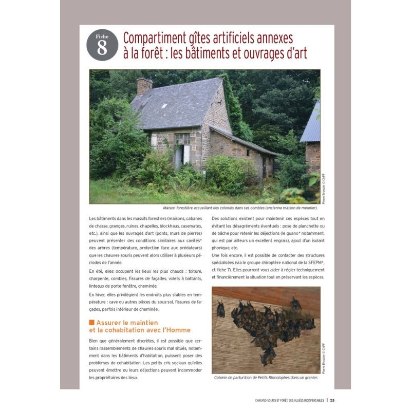 Chauves-souris et forêt, des alliées indispensables Chauves-souris et forêt, des alliées indispensables