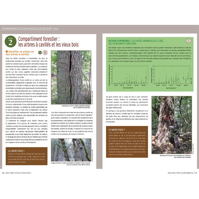 Chauves-souris et forêt, des alliées indispensables Chauves-souris et forêt, des alliées indispensables