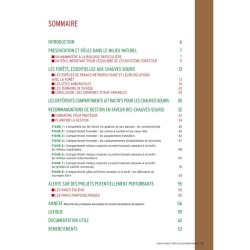 Chauves-souris et forêt, des alliées indispensables Chauves-souris et forêt, des alliées indispensables