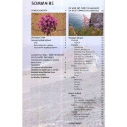Guide des fleurs sauvages de Méditerranée occidentale Guide des fleurs sauvages de Méditerranée occidentale