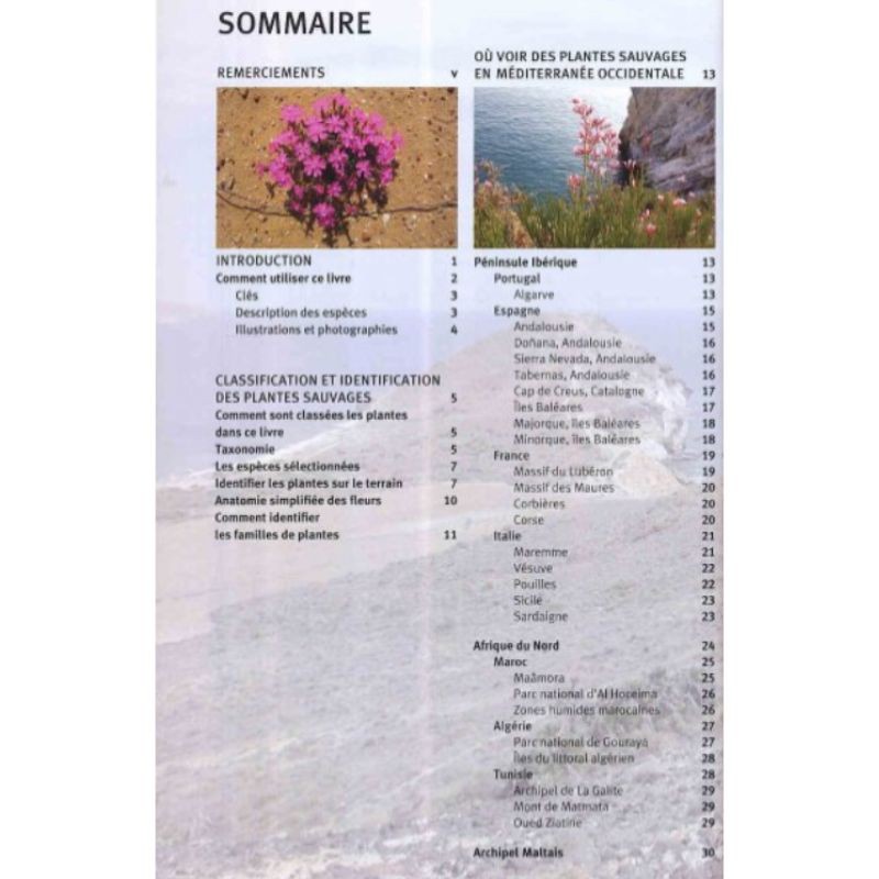 Guide des fleurs sauvages de Méditerranée occidentale Guide des fleurs sauvages de Méditerranée occidentale