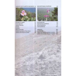 Guide des fleurs sauvages de Méditerranée occidentale Guide des fleurs sauvages de Méditerranée occidentale