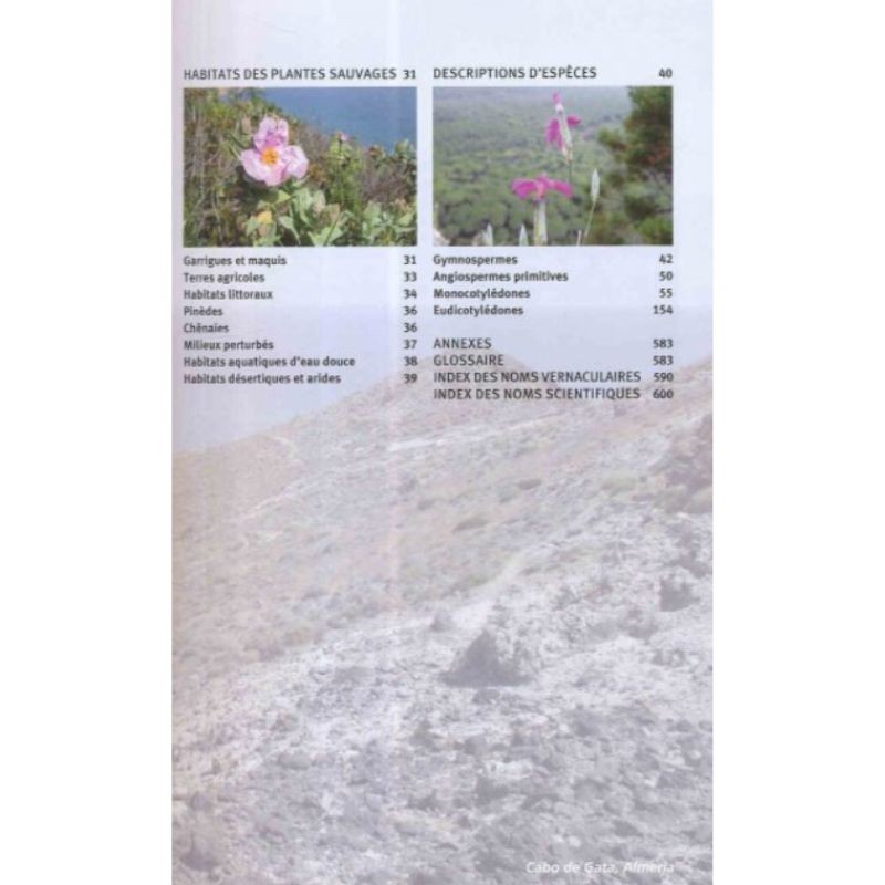 Guide des fleurs sauvages de Méditerranée occidentale Guide des fleurs sauvages de Méditerranée occidentale