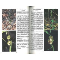 Orchidées d'Europe, d'Afrique du Nord et du Proche-Orient