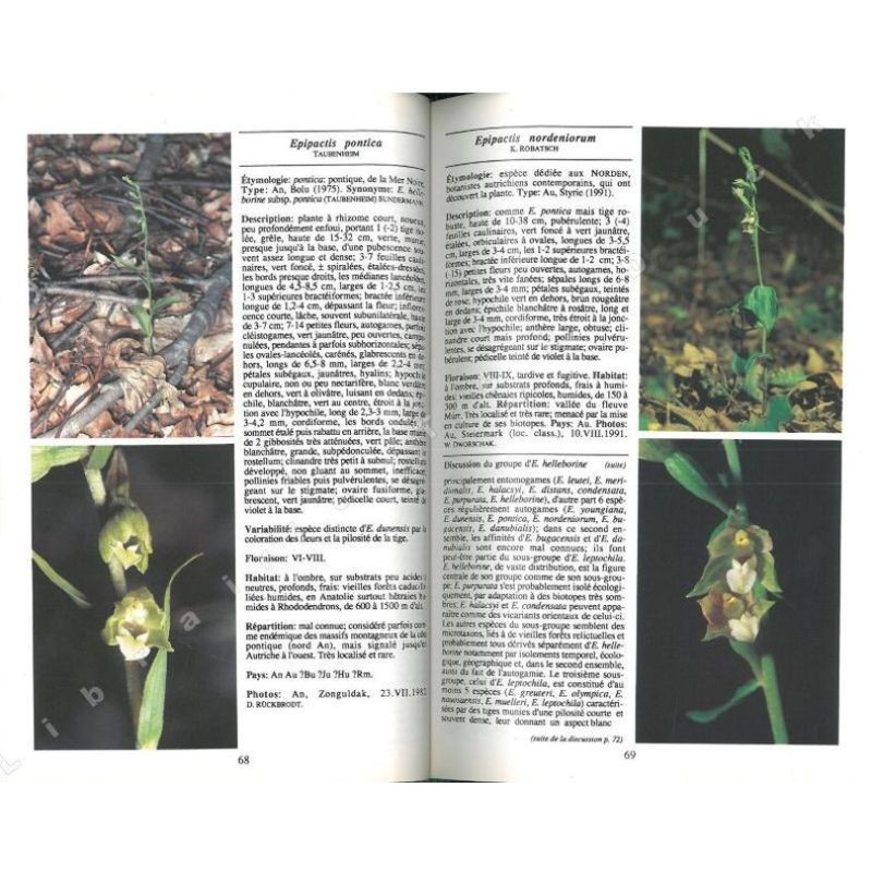 Orchidées d'Europe, d'Afrique du Nord et du Proche-Orient