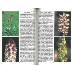 Orchidées d'Europe, d'Afrique du Nord et du Proche-Orient