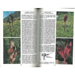 Orchidées d'Europe, d'Afrique du Nord et du Proche-Orient