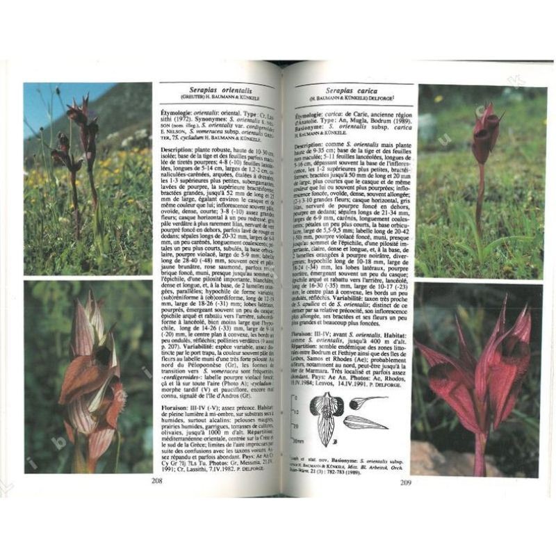 Orchidées d'Europe, d'Afrique du Nord et du Proche-Orient