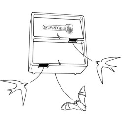 Nichoir à martinets ou gîte à chauves-souris en béton de bois - Schwegler (1MF - 615/8)