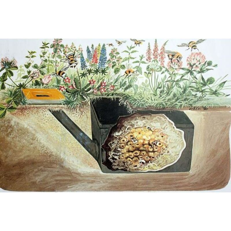 Ruche à bourdons souterraine - Schwegler (355/3)