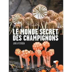 Le monde secret des Champignons