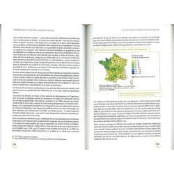 Protéger les cultures par la diversité végétale Protéger les cultures par la diversité végétale